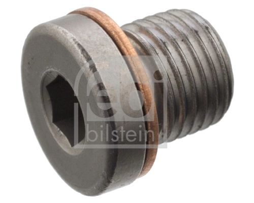 Screw Plug, axle drive